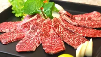 Successful Established Korean Restaurant for Sale in Aurora CO