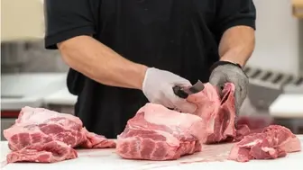Established Meat Wholesale Distributor with Growth Potential