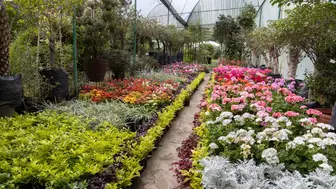 Premier Retail Garden Center, Including Real Estate