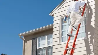 Successful 6-territory Paint Franchise