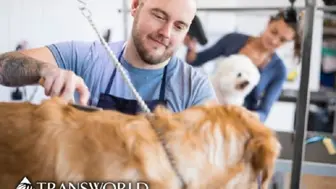 PROFIT - Las Vegas Pet Salon - 7 Groomers!