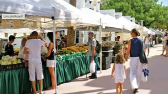 Growing Farmers Market with Strong Cash Flow