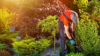 Small High End Established East End Landscaping Company For Sale!