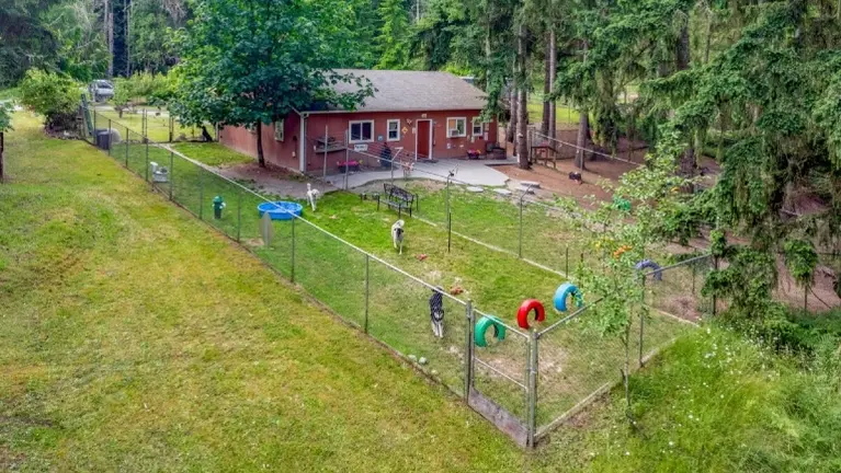 8 foot high fenced boarding play/exercise yards, picture shows two out of 4 yards.