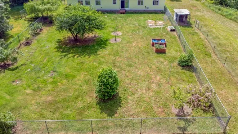 Backyard of main house.