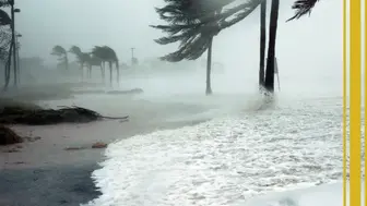 Storm Restoration Business with Insurance Claims Expertise!