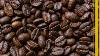 Profitable Colombian Coffee Importer with Wholesale Distribution