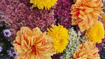 Popular Johnson County Floral Business