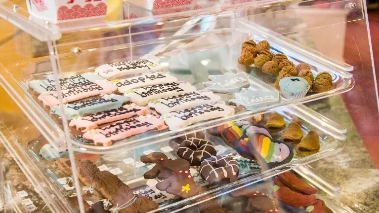 Healthy Treats Healthy Treats