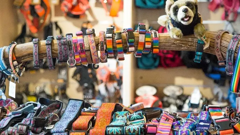 Vast selection of quality Collars Vast selection of quality Collars