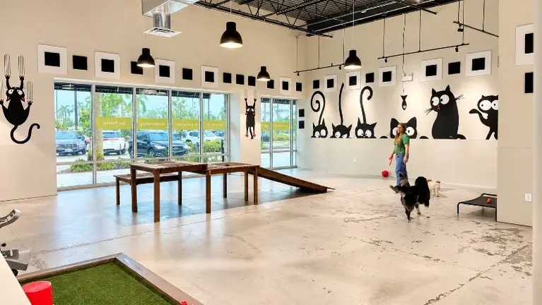 Daycare area 2 Daycare area 2