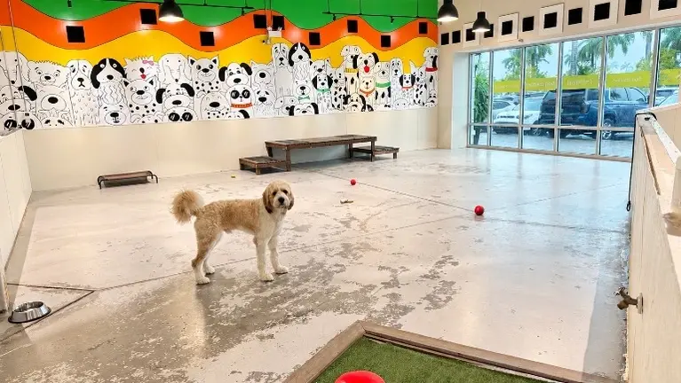 Daycare area 1 Daycare area 1