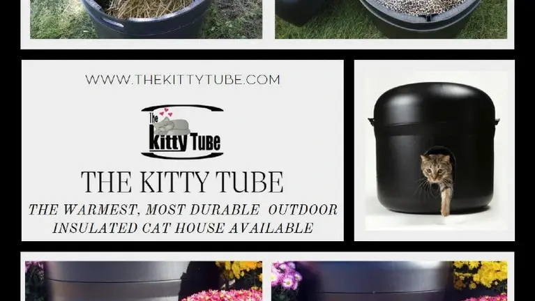 Kitty Tube flyer. Kitty Tube flyer.