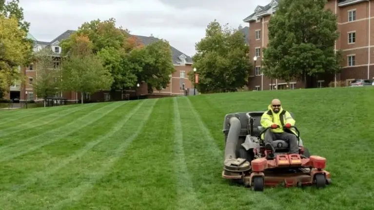 Lawn Maintenance
