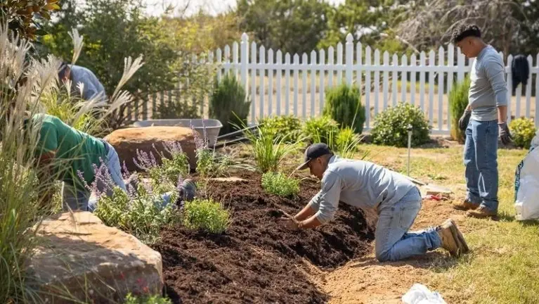 Landscape Installation