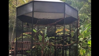 Cage Masters® | Established Specialty Manufacturing Business
