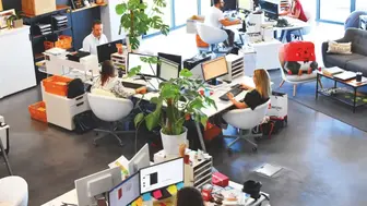 SBA Pre-Qual 12-year Digital Marketing Agency | Business Services