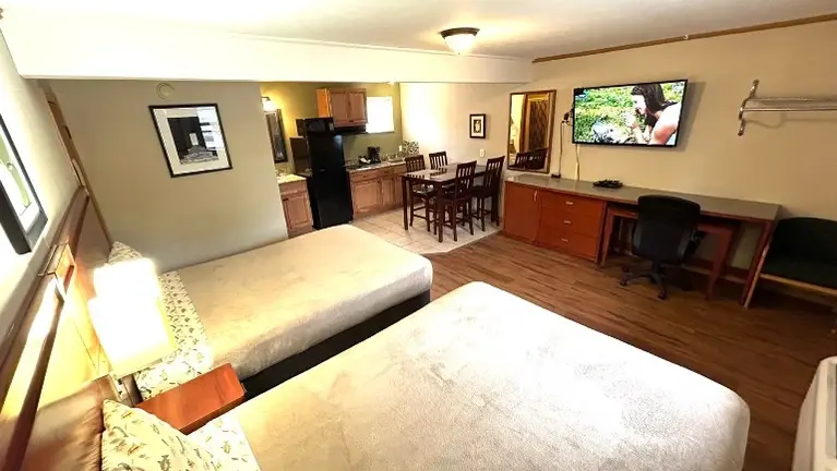 Single kitchenette Single kitchenette