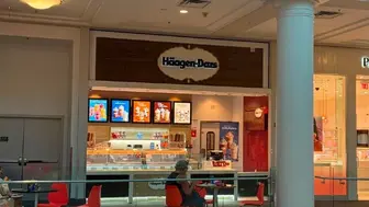 Haagen Daz Ice Cream Shop White Plains Mall Net $153K Yr.  Ask $225K