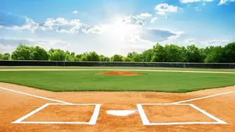 Sports Ownership: Profitable Collegiate Baseball Team in Major Market