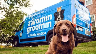 Own the Exclusive Mobile Pet Grooming Franchise Development Business
