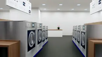 Established South Side Chicago Laundromat Retool Opportunity