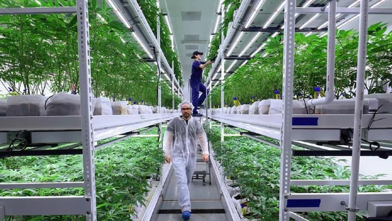 Established Cultivation Facility Established Cultivation Facility