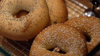 Fairfield County, CT | Bagel Store For Sale