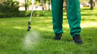 Stable and Profitable Home Services Company