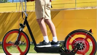 E-scooter Business and Inventory