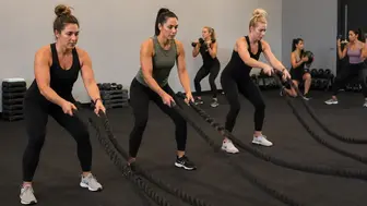Fitness Studio - 100k SDE