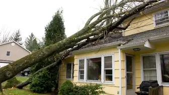 Established Disaster Restoration Franchise $192K Adjusted Earnings