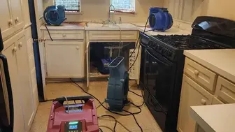Water Damage & Mold Restoration Biz