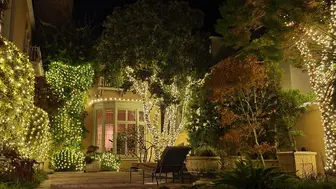 Established Bay Area Holiday Lighting Installation Business