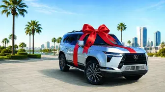 Established Auto Broker Business