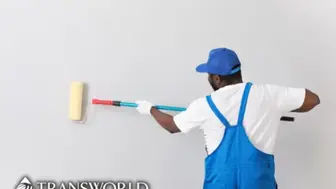 Interior & Exterior painting