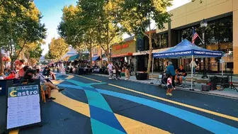Motivated Seller-High Sales & Traffic in Prime Downtown Mountain View