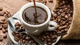 Established Specialty Coffee Roaster with Premium Brand, E-Commer