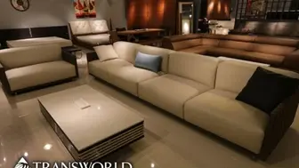 Long Established and Profitable Furniture Business