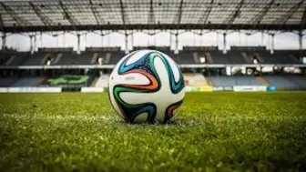 Established Sports Training Company for Sale