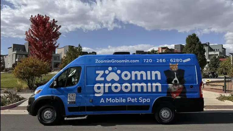 Beautiful Van 