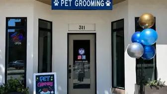 Seller Financing Available - Boutique Dog Grooming Salon for Sale