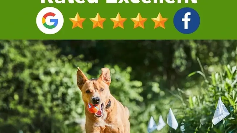 Our record of great service