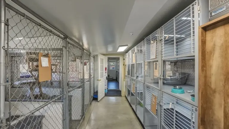 Accommodates up to 60 cats Accommodates up to 60 cats