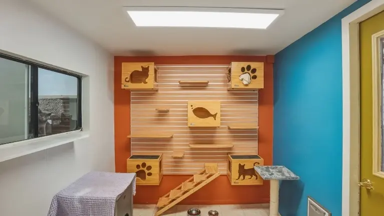 The Purrsidential Suite The Purrsidential Suite