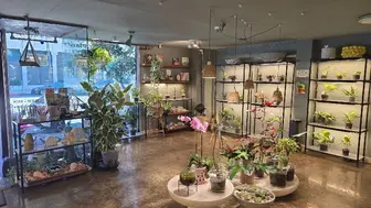 Turnkey Flower + Plant Shop - Brand, Assets, Fixtures, Lease