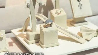 Profitable Award Winning Jewelry Store - SBA Eligible