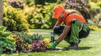 Landscape Company: Long Established, Modernized, and Scalable