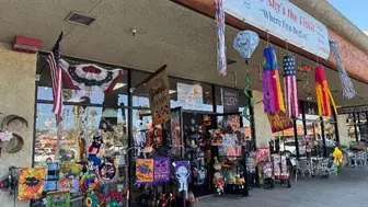 30-Year Specialty Toy & Gift Retailer | Untapped Growth Potential