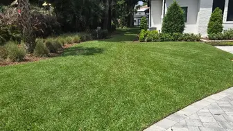 Growing Lawn and Pest Control Business with Great Margins